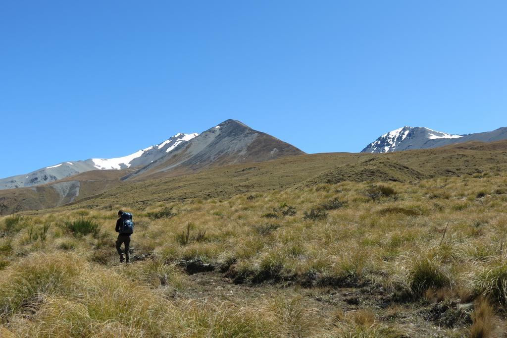Mt Potts Lodge Ashburton Lakes Eksteriør billede